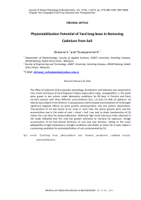 Phytostabilization potential of yard long bean in removing cadmium from soil