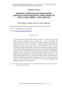 Application of am fungi with Bradyrhizobium japonicum in improving growth, nutrient uptake and yield of Vigna radiata L. under saline soil