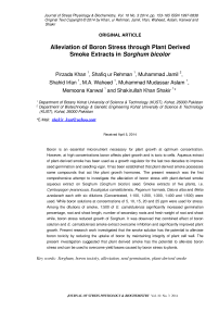 Alleviation of boron stress through plant derived smoke extracts in sorghum bicolor