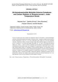 28-homobrassinolide modulate antenna complexes and carbon skeleton of Brassica juncea L. under temperature stress