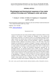 Physiological and biochemical responses of two maize cultivars (Corralejo and Tlaltizapon) under salt stress