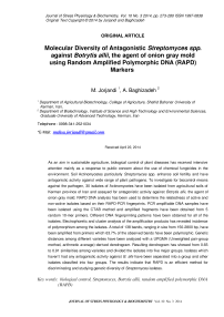 Molecular diversity of antagonistic Streptomyces spp. against Botrytis allii, the agent of onion gray mold using random amplified polymorphic DNA (RAPD) markers