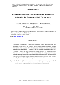 Activation of cell death in the sugar cane suspension culture by the exposure to high temperature