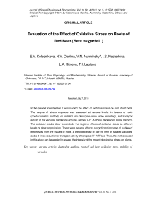 Evaluation of the effect of oxidative stress on roots of red beet ( Beta vulgaris L.)