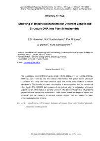 Studying of import mechanisms for different length and structure DNA into plant mitochondria