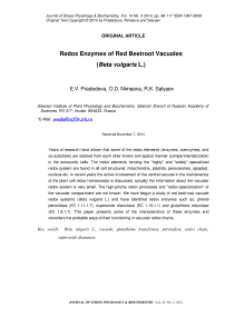 Redox enzymes of red beetroot vacuoles ( Beta vulgaris L.)