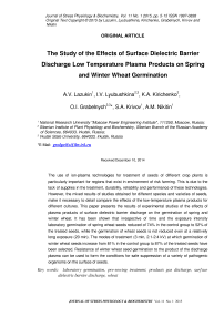 The study of the effects of surface dielectric barrier discharge low temperature plasma products on spring and winter wheat germination