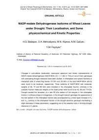 NADP-malate dehydrogenase isoforms of wheat leaves under drought: their localization, and some physicochemical and kinetic properties