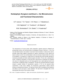 Euhalophyte eryngium maritimum L.: the microstructure and functional characteristics