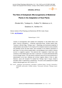 The role of endophytic microorganisms of medicinal plants in the adaptation of host plants