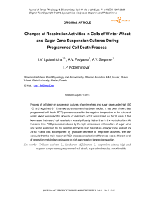 Changes of respiration activities in cells of winter wheat and sugar cane suspension cultures during programmed cell death process