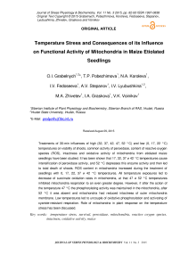 Temperature stress and consequences of its influence on functional activity of mitochondria in maize etiolated seedlings