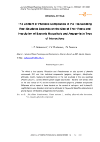 The content of phenolic compounds in the pea seedling root exudates depends on the size of their roots and inoculation of bacteria mutualistic and antagonistic type of interactions