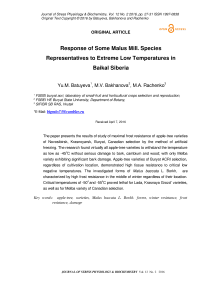 Response of some Malus mill. species representatives to extreme low temperatures in Baikal Siberia