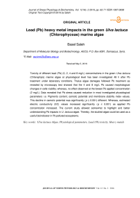 Lead (PB) heavy metal impacts in the green Ulva lactuca (Chlorophyceae) marine algae