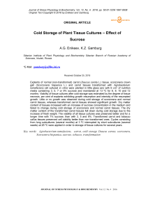 Cold storage of plant tissue cultures - effect of sucrose