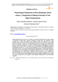 Physiological response of rice seedlings (Oryzasativa L.) subjected to different periods of two night temperatures