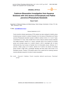 Cadmium biosorption investigation from aqueous solutions with Ulva lactuca (Chlorophyta) and Padina pavonica (Phaeophyta) seaweeds