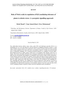 Role of nitric oxide in regulation of H2O2 mediating tolerance of plants to abiotic stress: a synergistic signaling approach