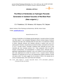Влияние гербицидов на образование перекиси водорода в изолированных вакуолях красного корня свеклы (Beta vulgaris L.)