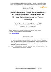Суточная динамика содержания фенольных соединений и активности гвайакол-пероксидазы в листьях и цветках подкренаты Alchemilla и Veronica chamaedrys