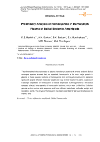 Предварительный анализ гемоцианинов в гемолимфовой плазме эндемичных амфипод Байкала