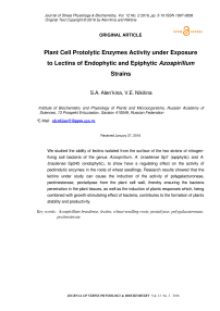 Активность протолитических ферментов растений под воздействием лектинов эндофитных и эпифитных штаммов Azospirillum
