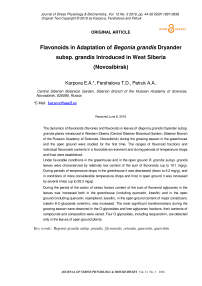 Флавоноиды при адаптации бегонии grandis Dryander subsp. Грандис введен в Западной Сибири (Новосибирск)