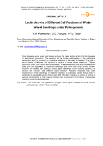 Лектиновая активность различных клеточных фракций проростков озимой пшеницы при патогенезе