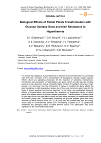 Биологические эффекты трансформации картофельных растений геном глюкозооксидазы и их устойчивость к гипертермии