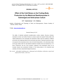 Влияние холодного стресса на плодотворное производство тела лекарственными базидиомицетами в погружной и твердофазной культуре