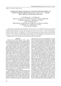 Предварительные данные по изменчивости двух микросателлитных локусов у соболя (Martes zibellina L.) Среднего Приамурья