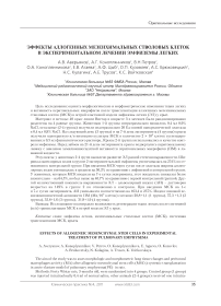 Эффекты аллогенных мезенхимальных стволовых клеток в экспериментальном лечении эмфиземы легких