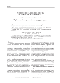 Магнитно-резонансная томография голеностопного сустава и стопы