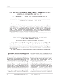 Клеточные технологии и тканевая инженерия в лечении дефектов суставной поверхности