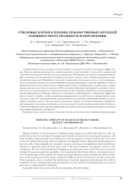 Стволовые клетки в терапии злокачественных опухолей головного мозга: реальность и перспективы