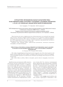 Структурно-функциональная характеристика макулярной зоны сетчатки у больных сахарным диабетом 1-го и 2-го типов без диабетической ретинопатии