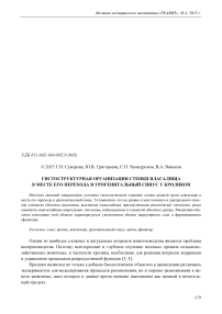 Гистоструктурная организация стенки влагалища в месте его перехода в урогенитальный синус у кроликов