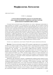 Структурно-функциональная характеристика фокального варианта синдрома клеток Сертоли (иммуногистохимический аспект)