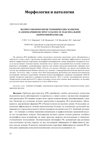 Экспрессия иммуногистохимических маркеров в аденокарциноме простаты после максимальной андрогенной блокады