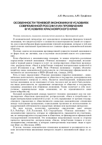 Особенности теневой экономики в условиях современной России и их проявления в условиях Красноярского края