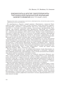 Флюидолиты и другие гидротермалиты торгашинской карбонатной формации нижнего кембрия (Восточный Саян)