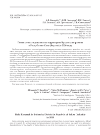 Полевые исследования на территории Булунского района в Республике Саха (Якутия) в 2020 году