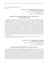 Верхнепалеолитические бифасиальные наконечники из Денисовой пещеры