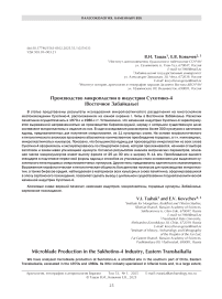 Производство микропластин в индустрии Сухотино-4 (Восточное Забайкалье)
