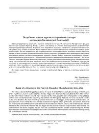 Погребение воина в кургане пазырыкской культуры могильника Ханхаринский Дол (Алтай)