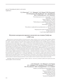 Изучение материалов верхнего палеолита на стоянке Ушбулак в 2025 году
