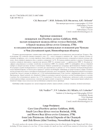 Крупные хищники: пещерный лев (Panthera spelaea Goldfuss, 1810), малый пещерный медведь (Ursus rossicus Borissiak, 1930) и бурый медведь (Ursus arctos Linnaeus, 1758) из позднеплейстоценовых аллювиальных отложений рек Чумыш и Чик (Алтайский край, Новосибирская область)