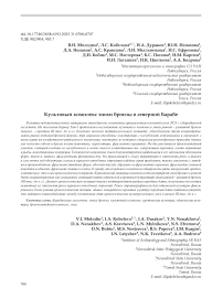 Культовый комплекс эпохи бронзы в Северной Барабе