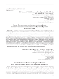 Новые сборы остатков плейстоценовой мегафауны на аллювиальных местонахождениях Верхнего Приобья в 2023-2025 годах